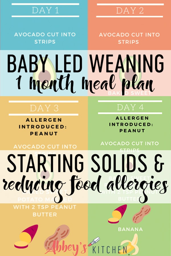 Baby Led Weaning Meal Plan For 6 12 Month Old Babies A Dietitian s 