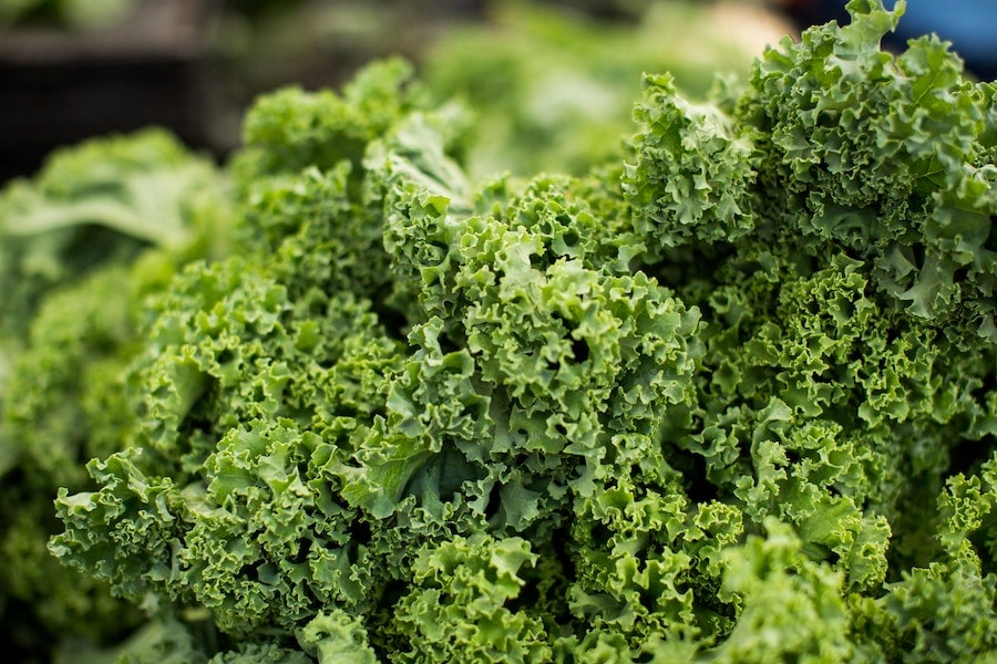close up image of kale