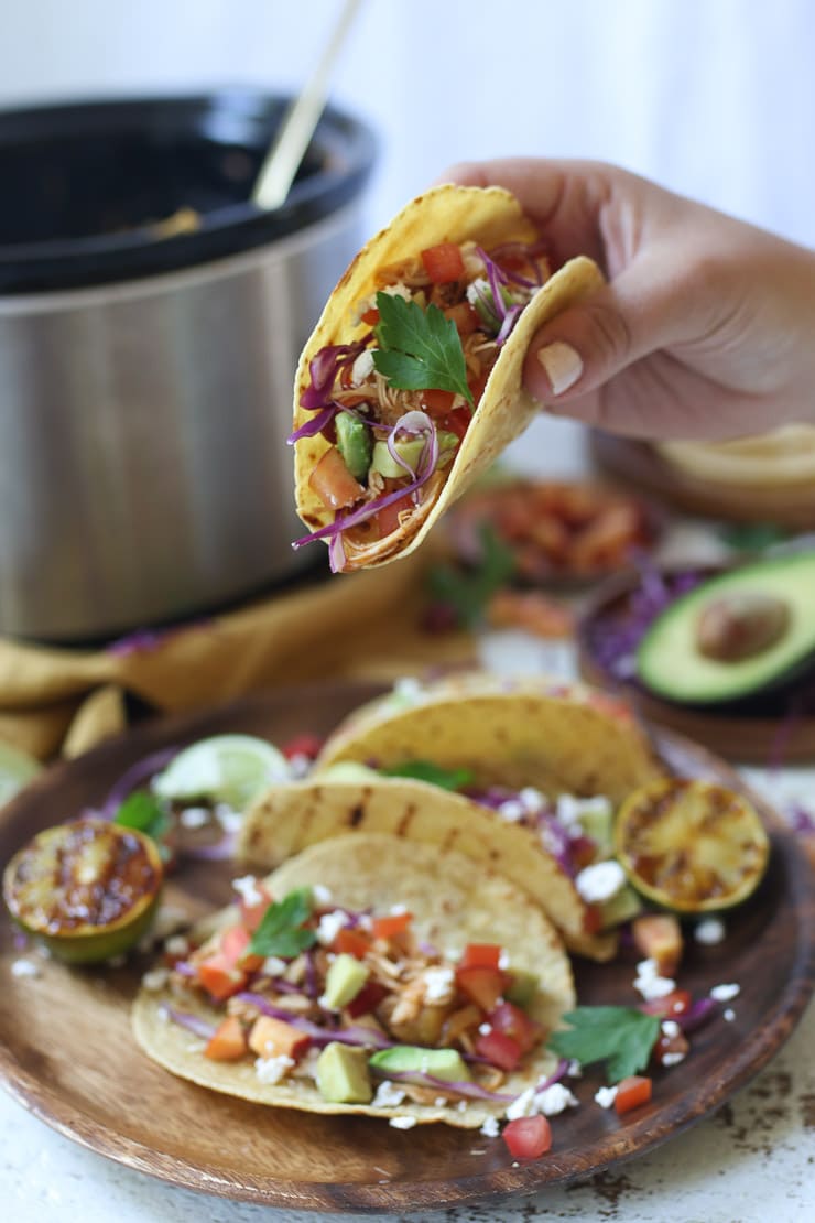 Hand holding a pulled chicken taco. 