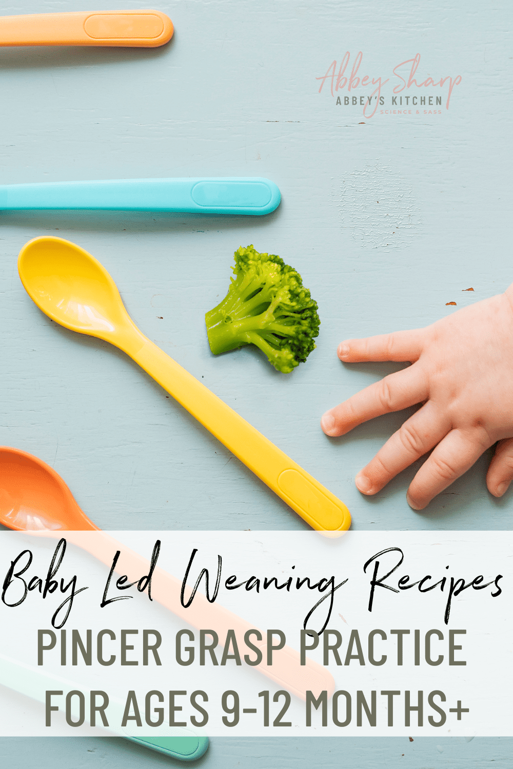 Baby Led Weaning Recipes Finger Food Ideas For Pincer Grasp Practice