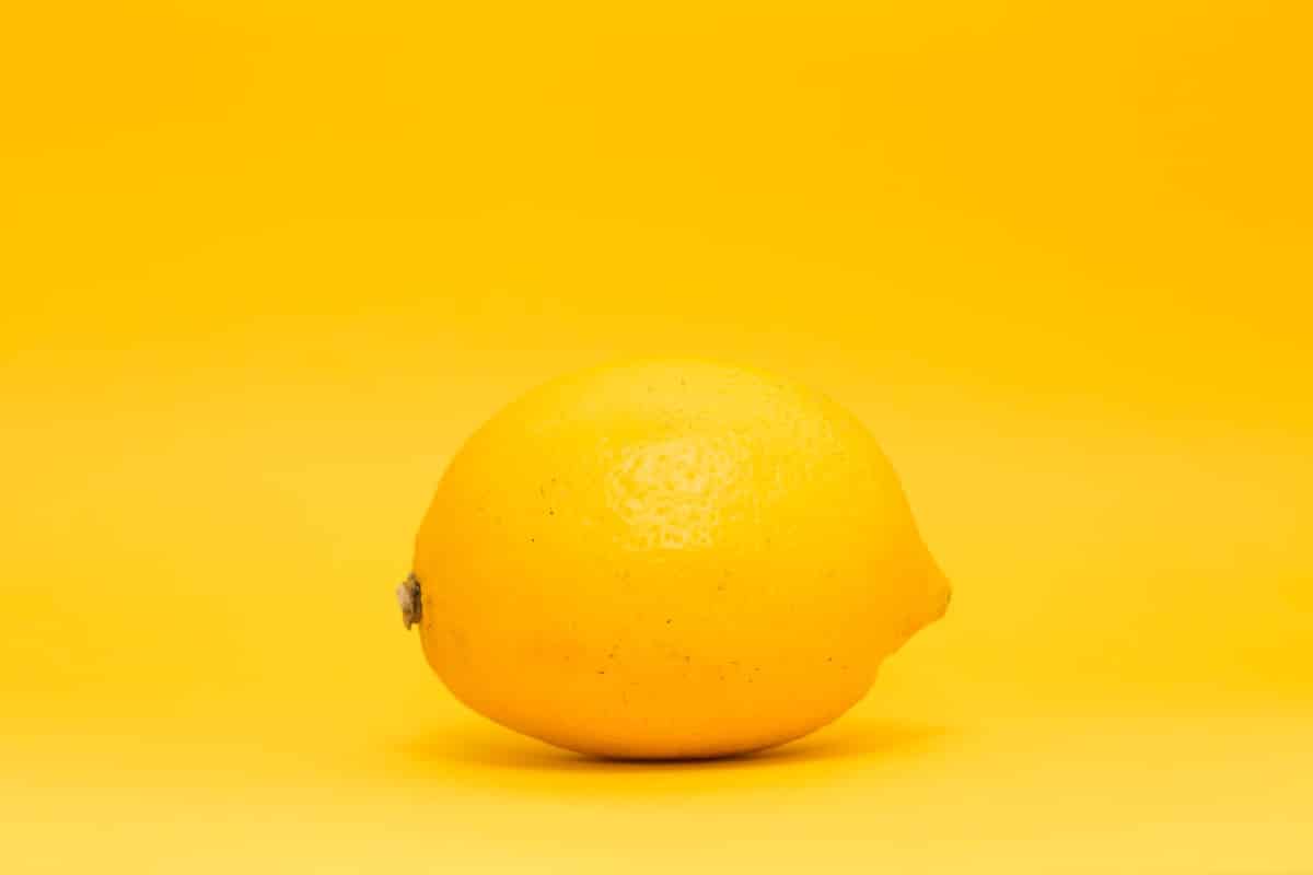 lemon on a yellow background