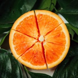 Half an orange cut into segments