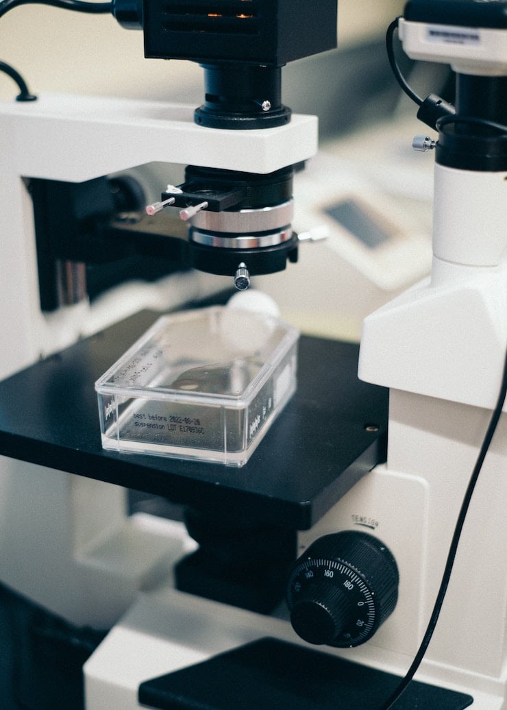 Sample in a microscope.