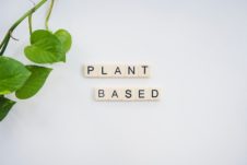 The words plant based on a white background.