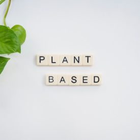 The words plant based on a white background.