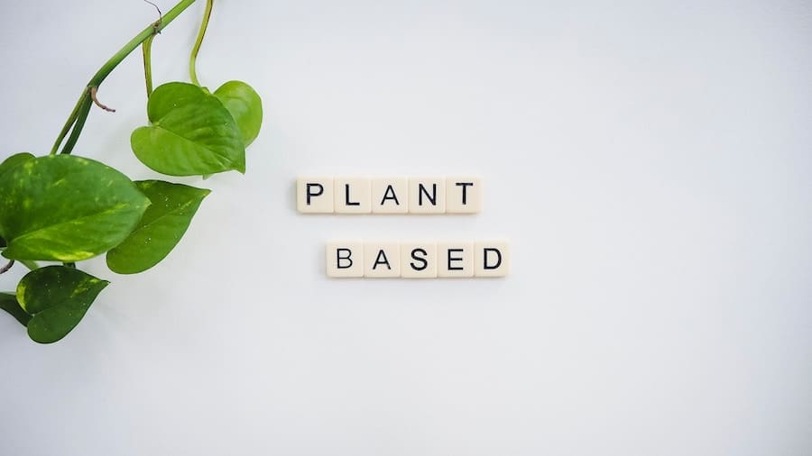 The words plant based on a white background.