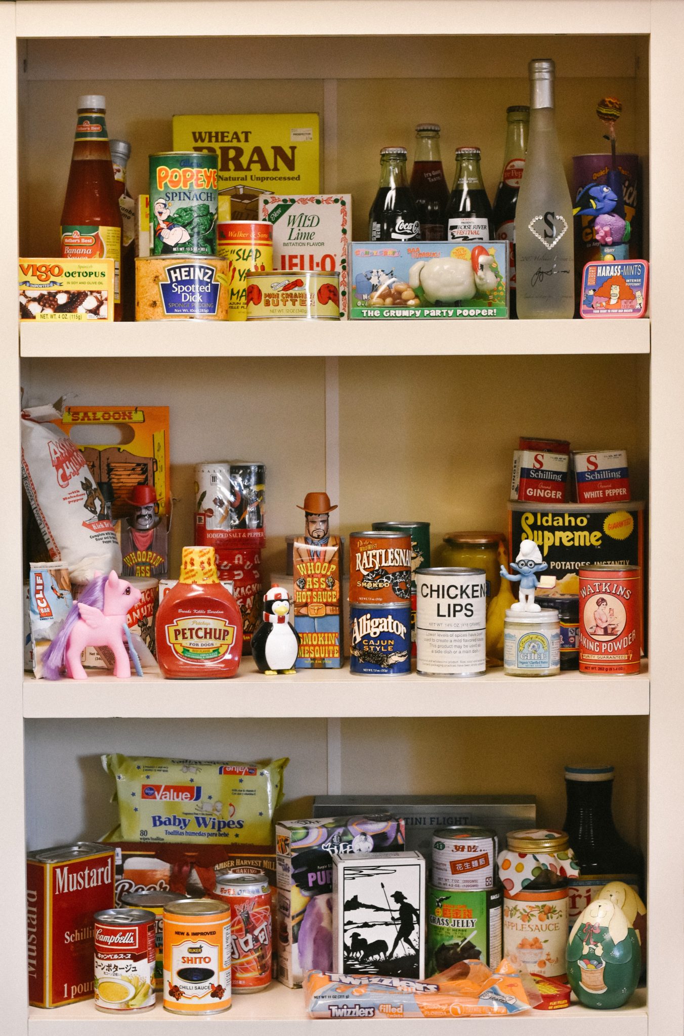 a stocked pantry representing a trigger for eating emotionally when stressed 