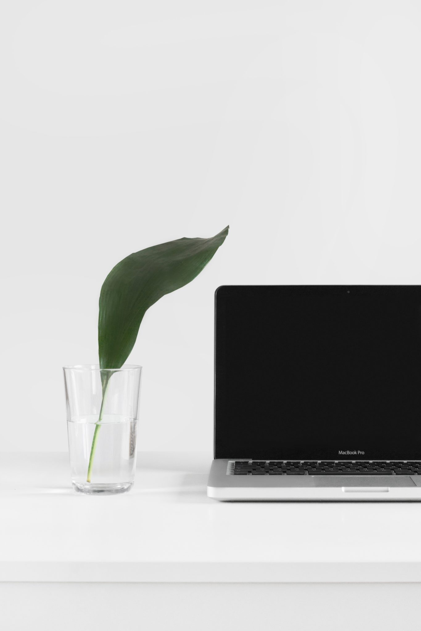 image of a clear glass filled with water and a green leaf next to a laptop on a white desk