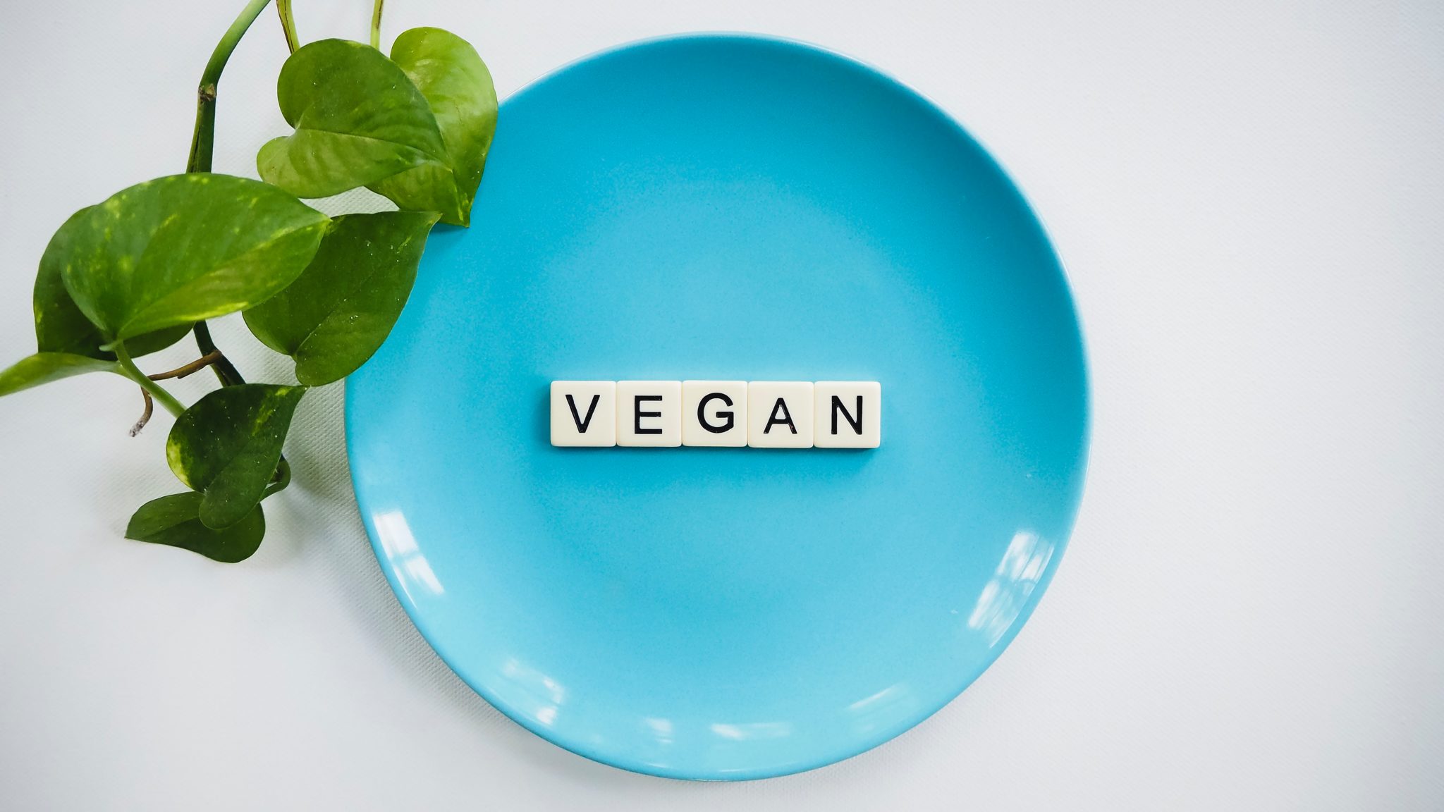 birds eye shot of a blue plate with the word vegan spelled across the plate with white tiles