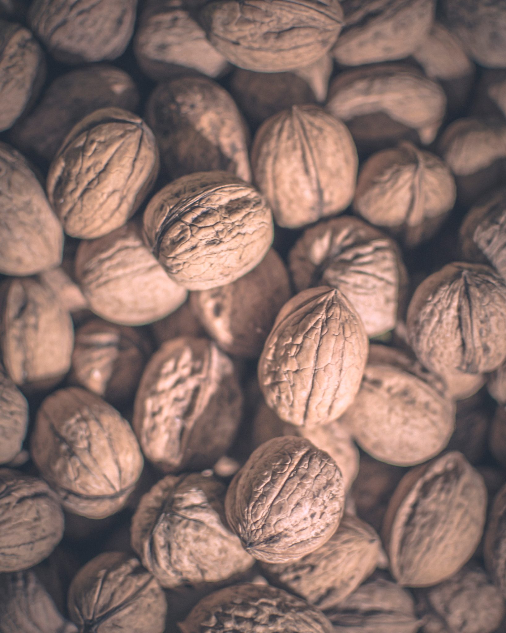 image of shelled walnuts to represent foods that help with pregnancy