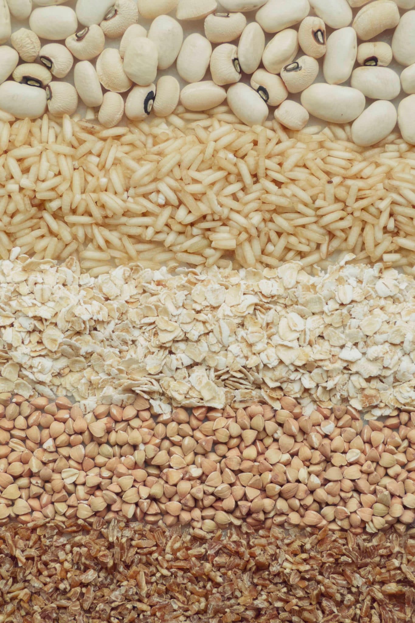 a variety of different grains with antinutrients like beans, rice, oats, buckwheat and farrow laid in a layer to create a colour gradient