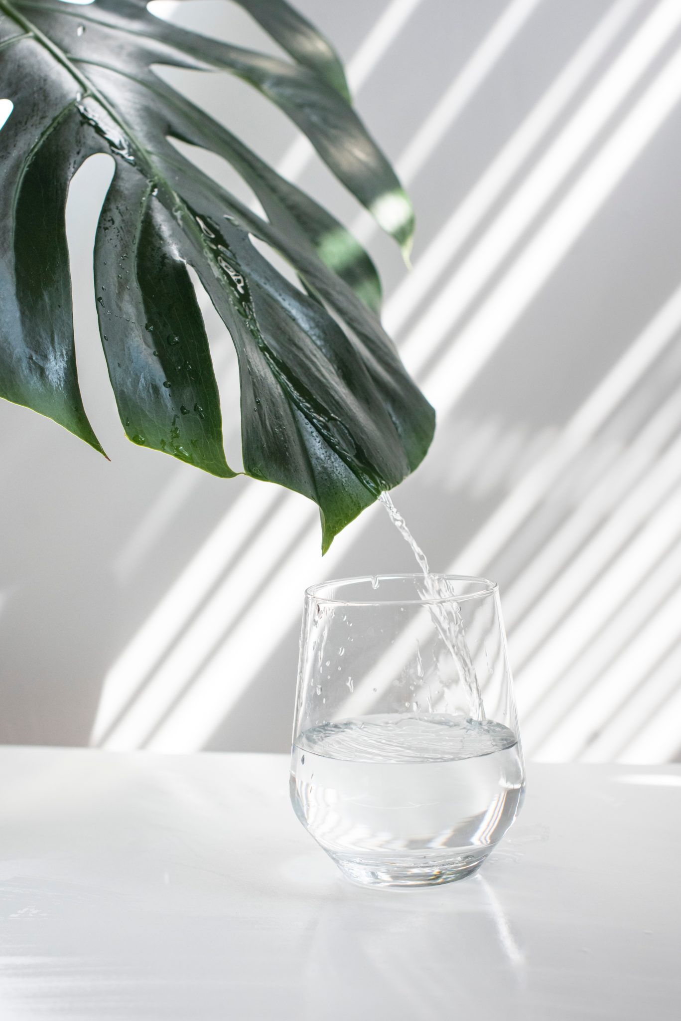 full shot image of a clear glass of water sitting on a white table against a white wall with a green leaf in the top left corner of the background