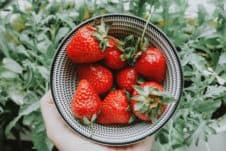 strawberries in a bowl to balance blood sugar levels