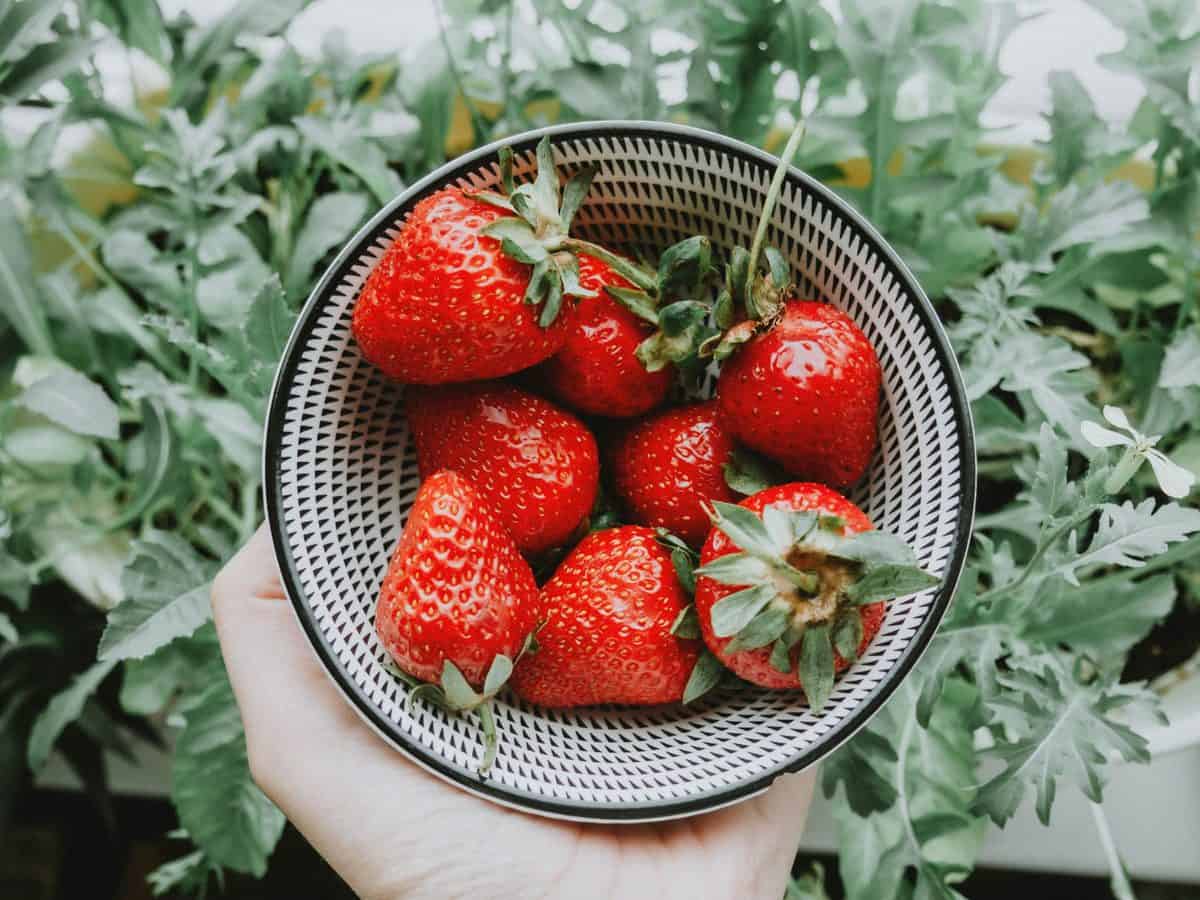 strawberries in a bowl to balance blood sugar levels 