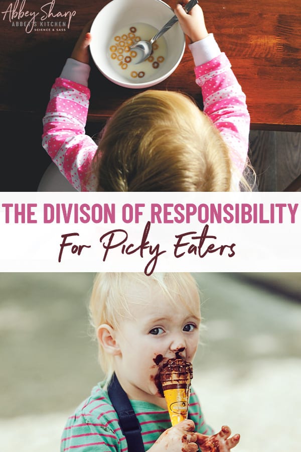 pinterest image for the division of responsibility for picky eaters 