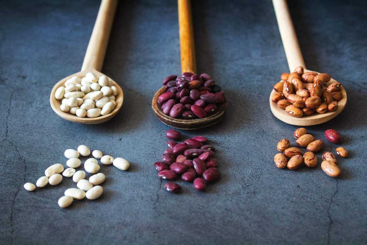 image of dried beans on wooden spoons 