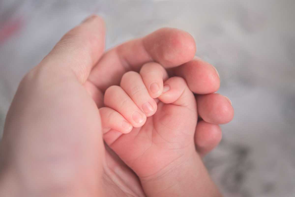 A newborn baby's hand being held in a parent's hand. 