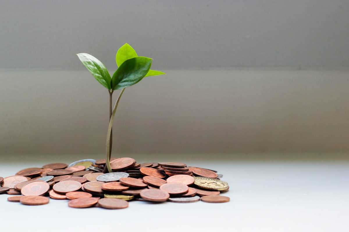 image of a plant growing from a pile of coins to plan for financial future