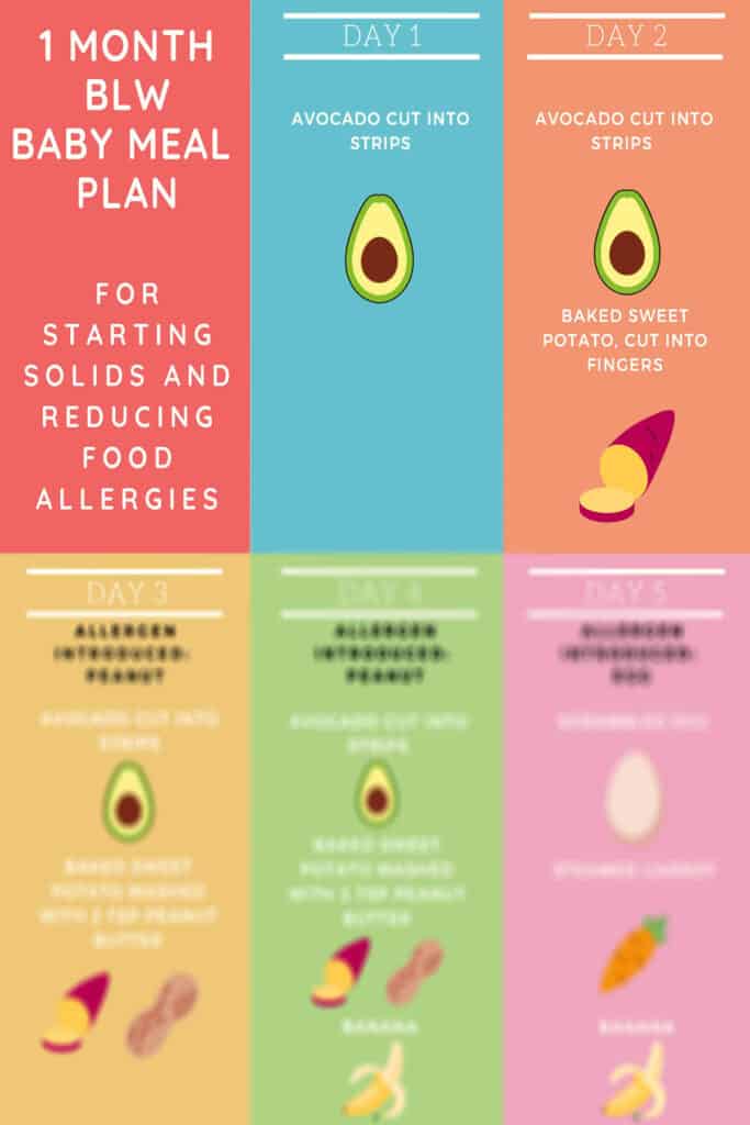 Baby Led Weaning Meal Plan for 612 Month Old Babies A Dietitian's Guide