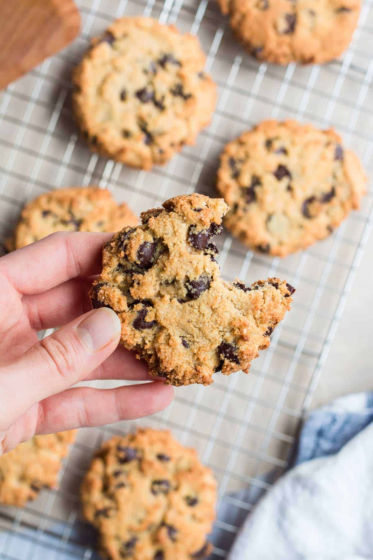 Hand holding up a chocolate cookie that has been bitten into, with baking rack with more cookies in the background. 