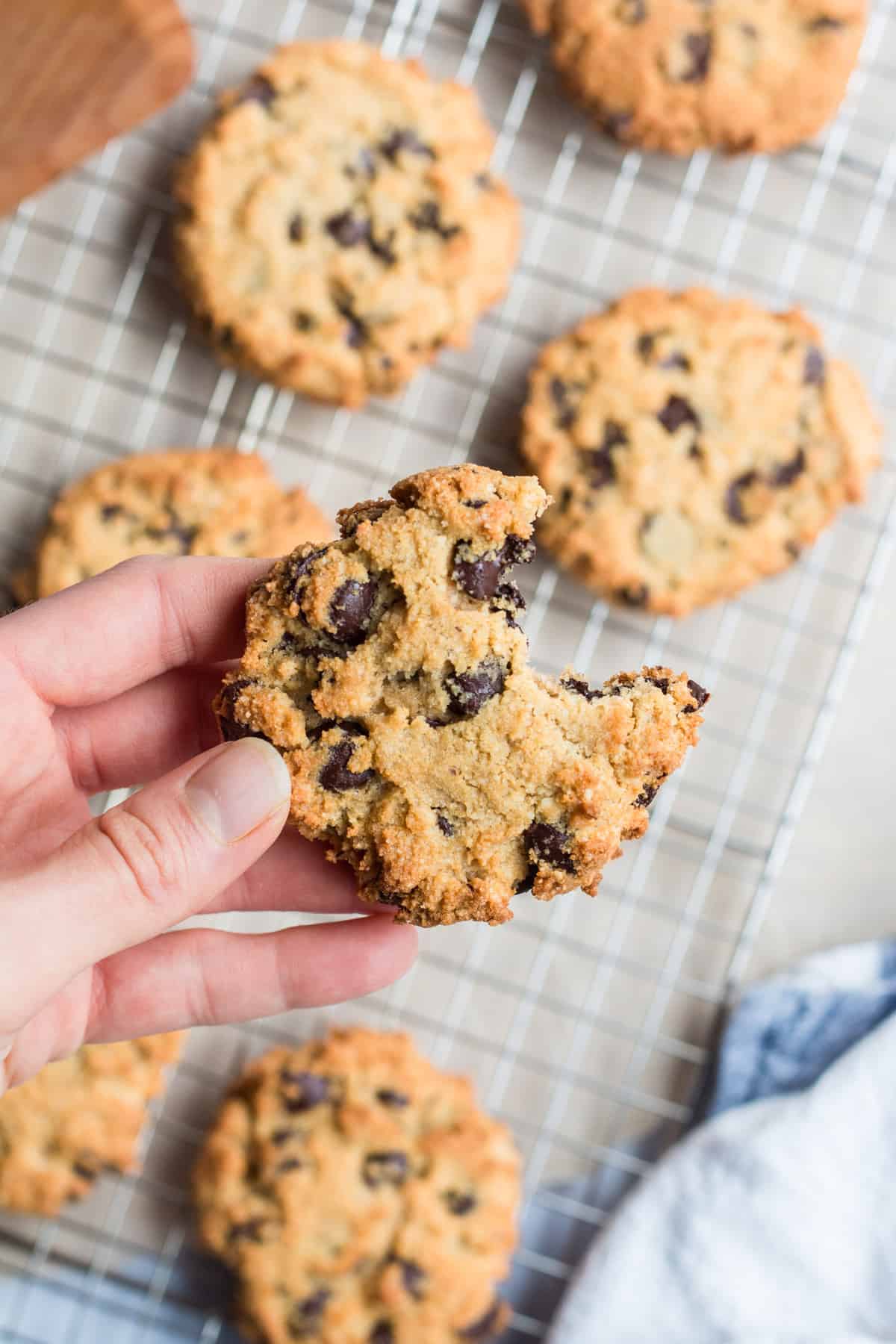 Coconut Flour Chocolate Chip Cookies Abbey's Kitchen