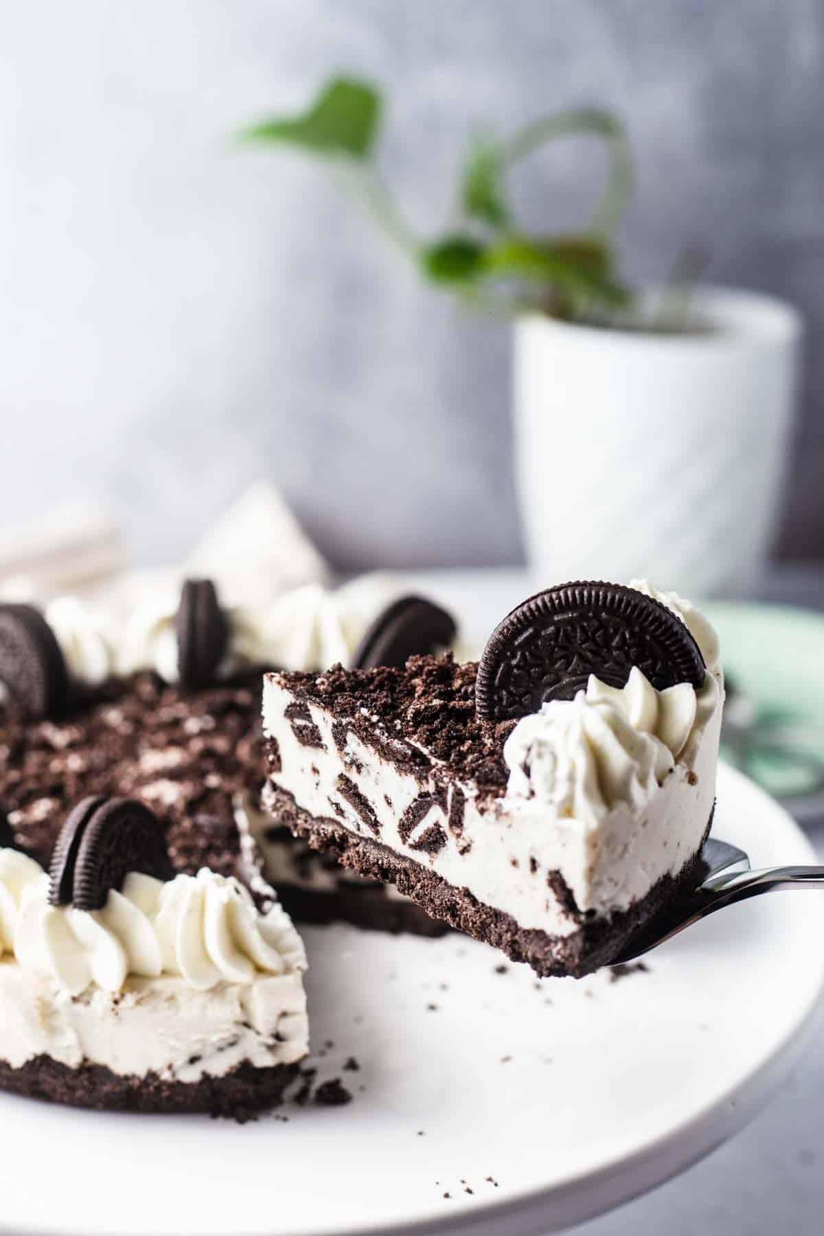 Close up of a slice of vegan Oreo cheesecake.