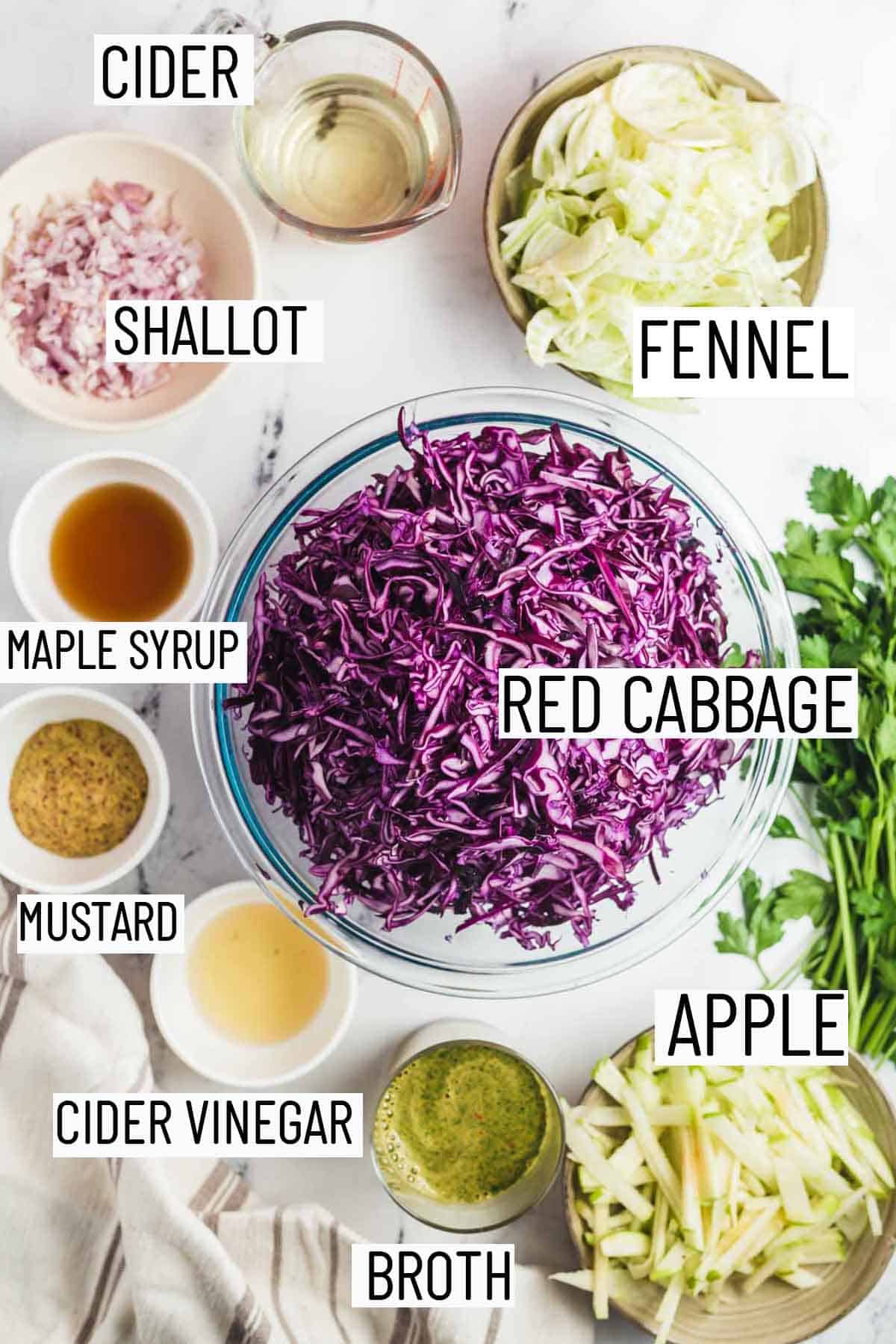 Flat lay image of recipe ingredients for recipe including fennel, cider, shallot, maple syrup, mustard, cider vinegar, broth, apple, and red cabbage. 