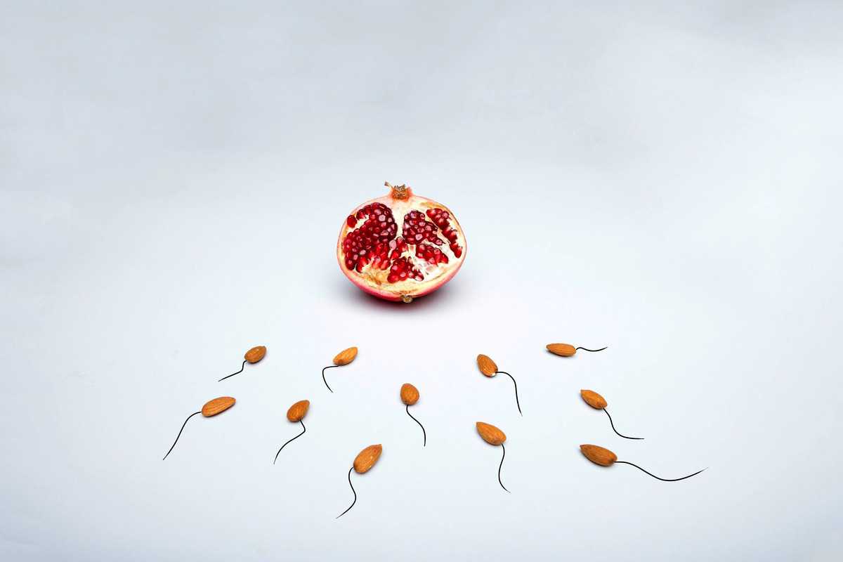 Image of almonds, representing sperm, travelling towards a pomegranate, representing the egg. 