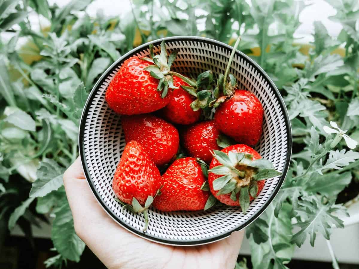 A hand holding a bowl of strawberries which have antioxidants beneficial for the hormonal acne diet. 