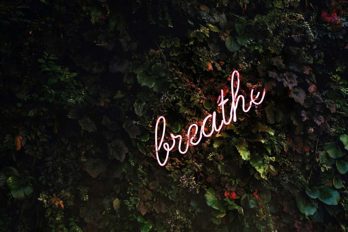 A neon sign that says "breath" when dealing with quarantine weight gain. 