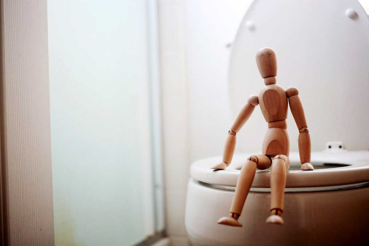 A wooden dummy sitting on a toilet. 