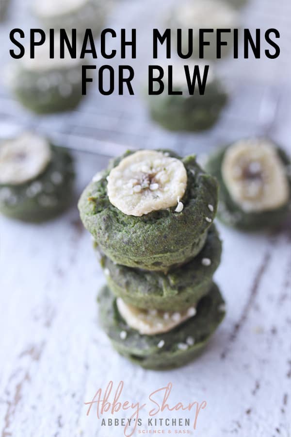 Spinach Muffins for Toddlers & BLW (Vegan & Egg Free) Abbey's Kitchen
