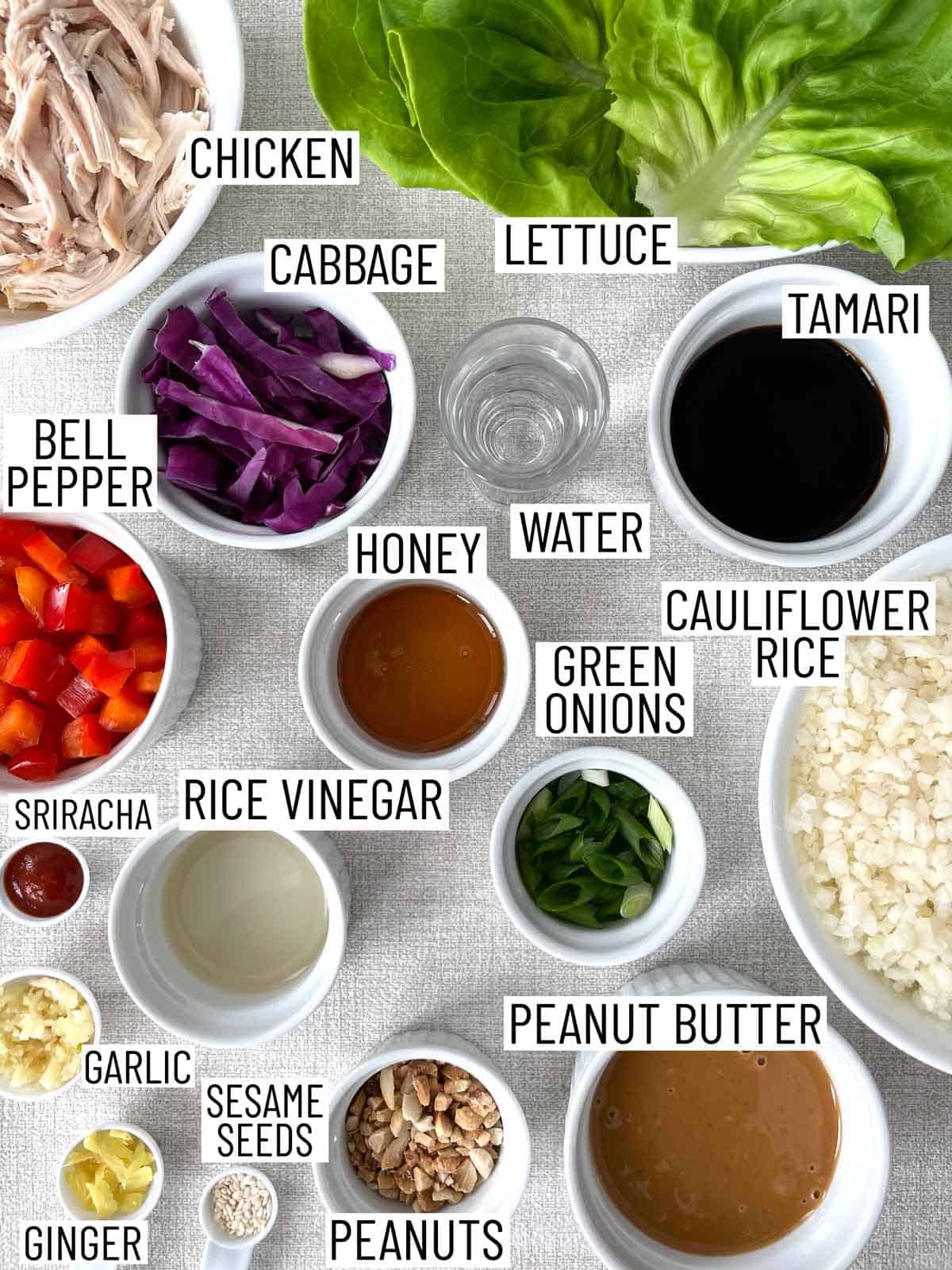 Ingredients needed to make healthy chicken lettuce wraps.