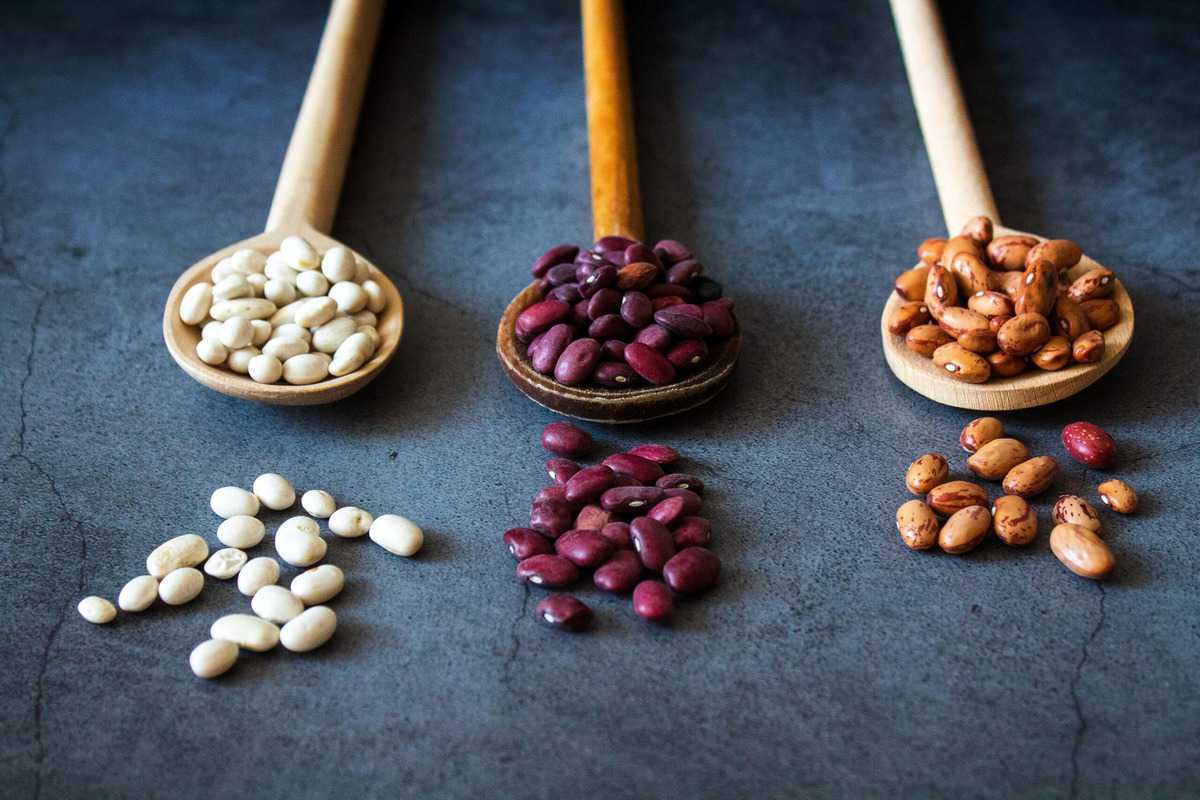 Several dry legumes on three wooden spoons.