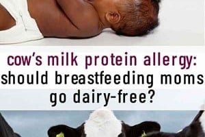 Pinterest graphic of a baby drinking from a bottle and a group of cows with the text overlay "cow's milk protein allergy: should breastfeeding moms go dairy-free?"