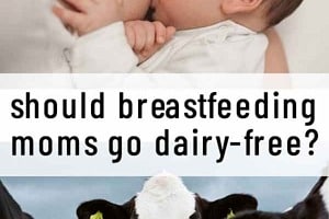Pinterest graphic of a baby breastfeeding and a group of cows with the text overlay "should breastfeeding moms go dairy-free?"