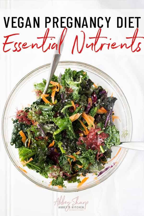 Vegan Pregnancy Diet Essential Nutrients for a Vegan Pregnancy