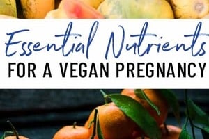 Pinterest graphic of fruits with the overlay text "essential nutrients for a vegan pregnancy."