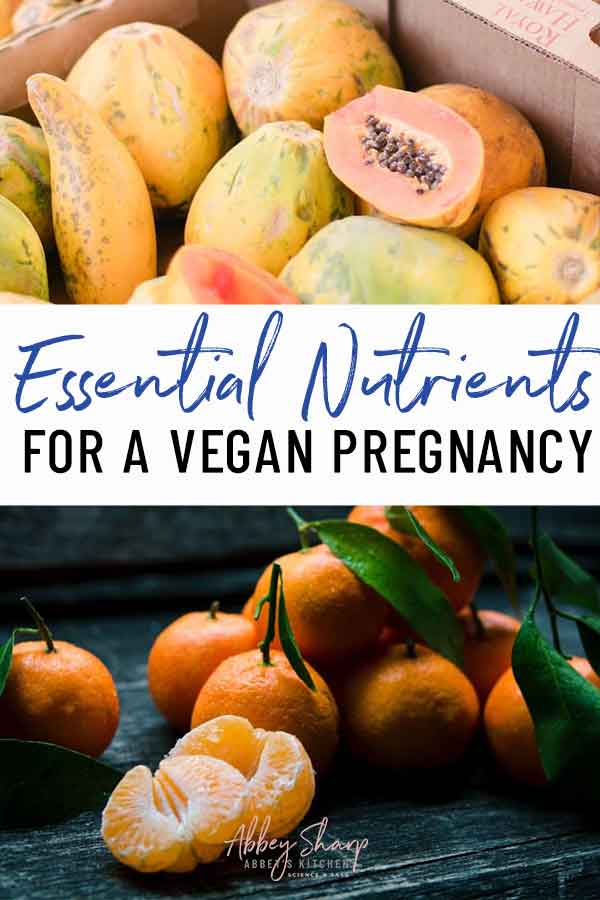 Vegan Pregnancy Diet Essential Nutrients for a Vegan Pregnancy