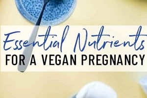 Pinterest graphic of blue chia pudding with the overlay text "essential nutrients for a vegan pregnancy."