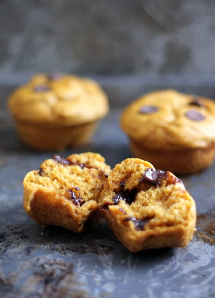 Whole up of whole wheat pumpkin muffins with chocolate chips.