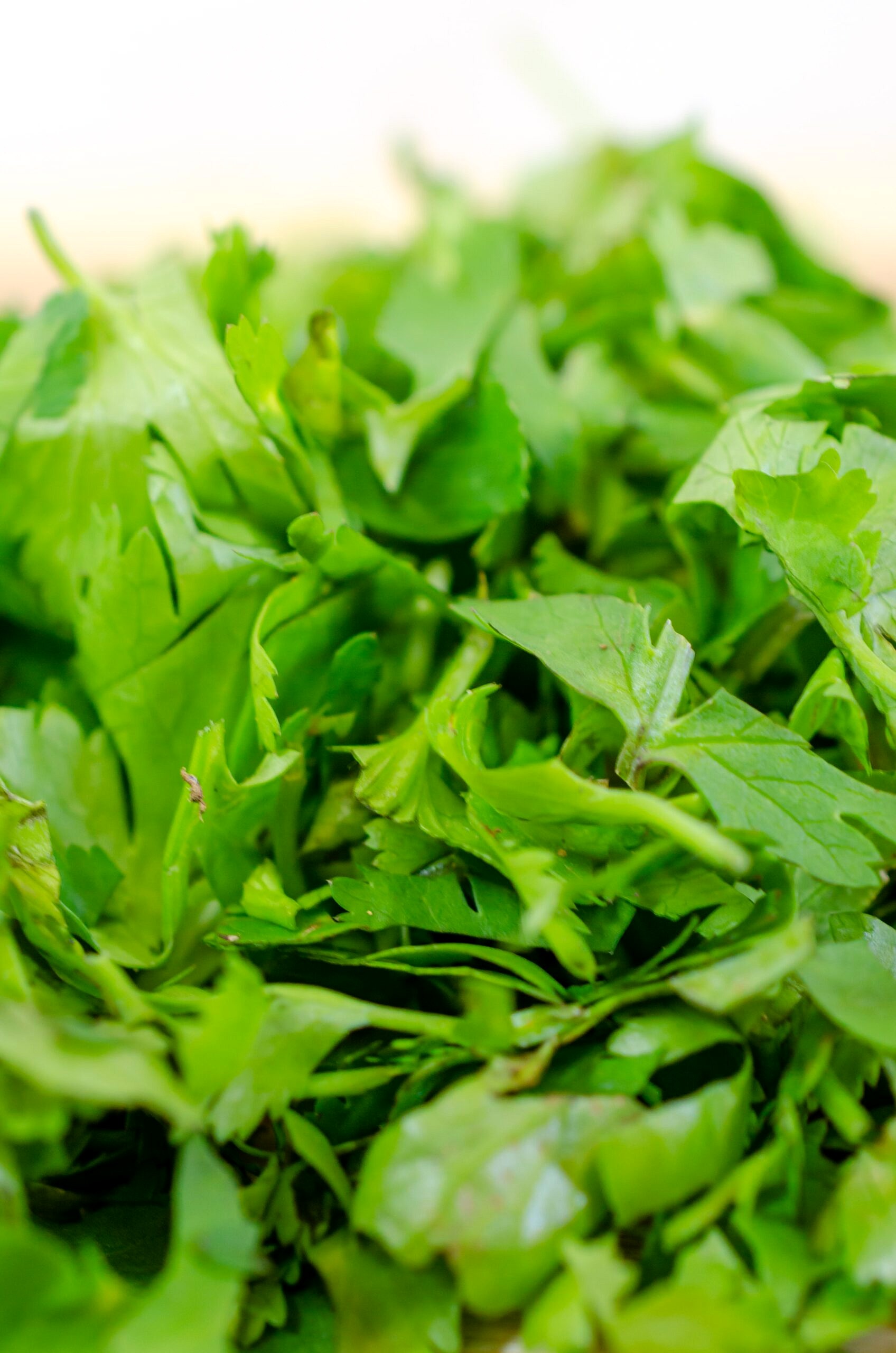Close up of arugula as one of the natural remedies for bloating.