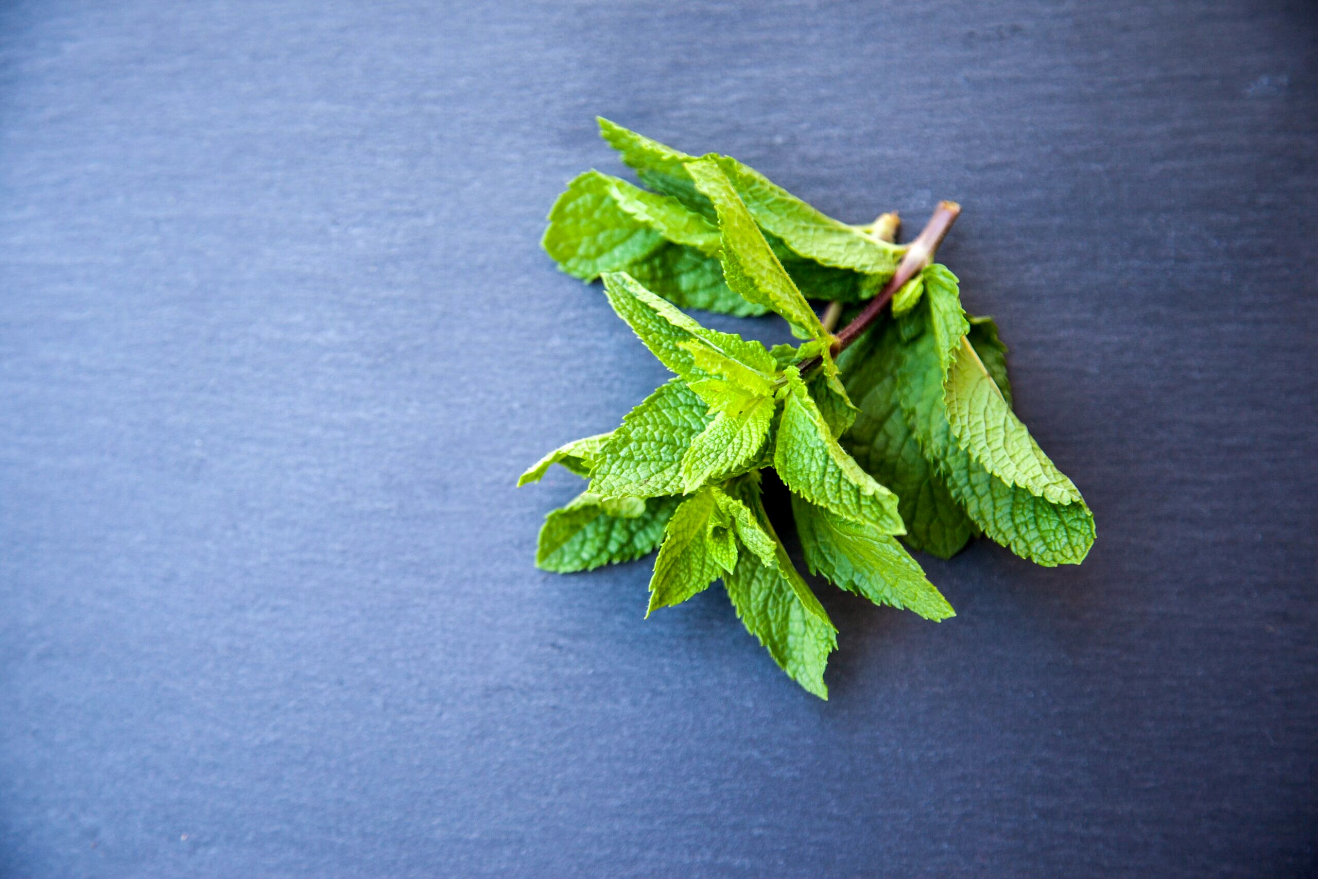 Peppermint leaves on a table.