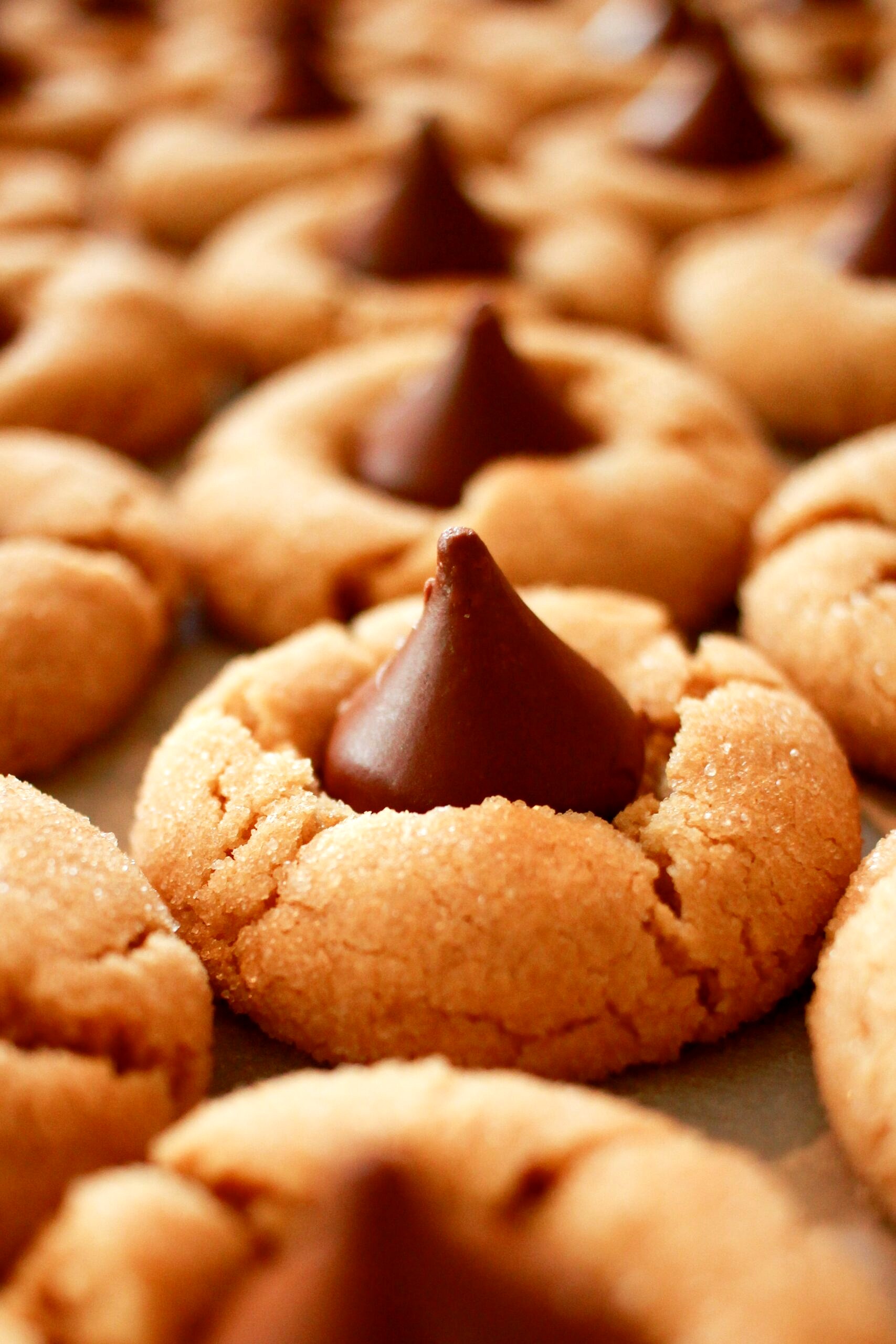 Cookie with chocolate in the middle.