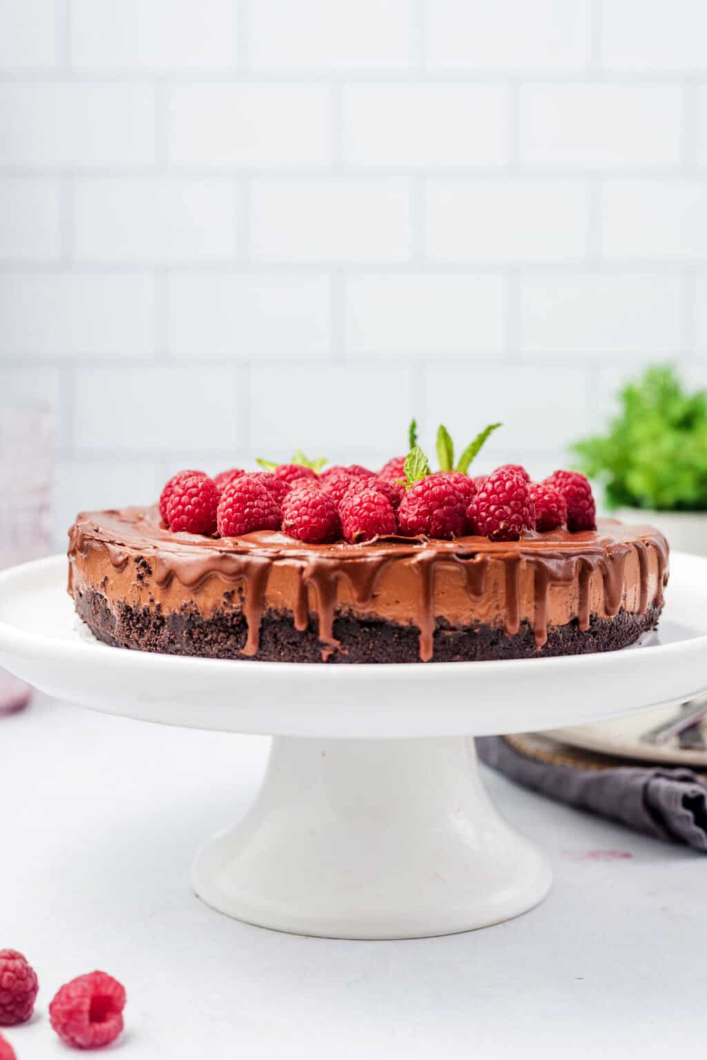 Tofu Cheesecake Recipe with Chocolate and Oreos Vegan Dessert Abbey's Kitchen