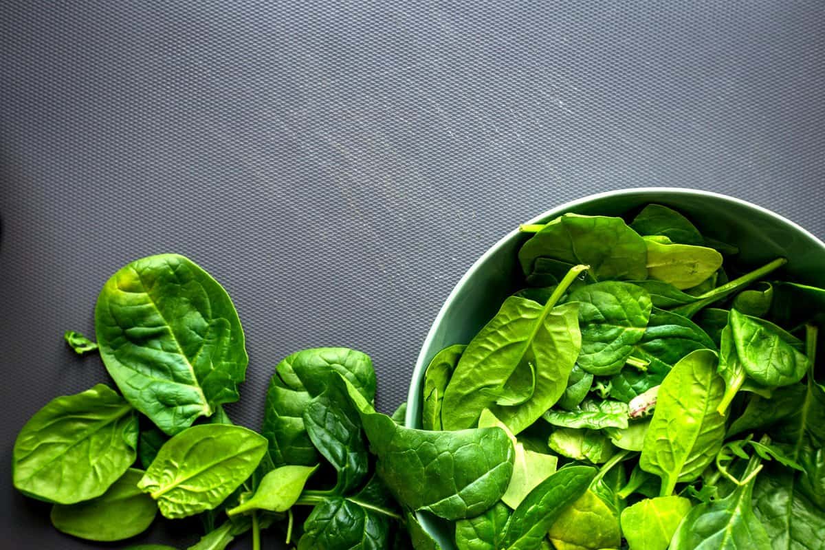 Bowl of spinach.