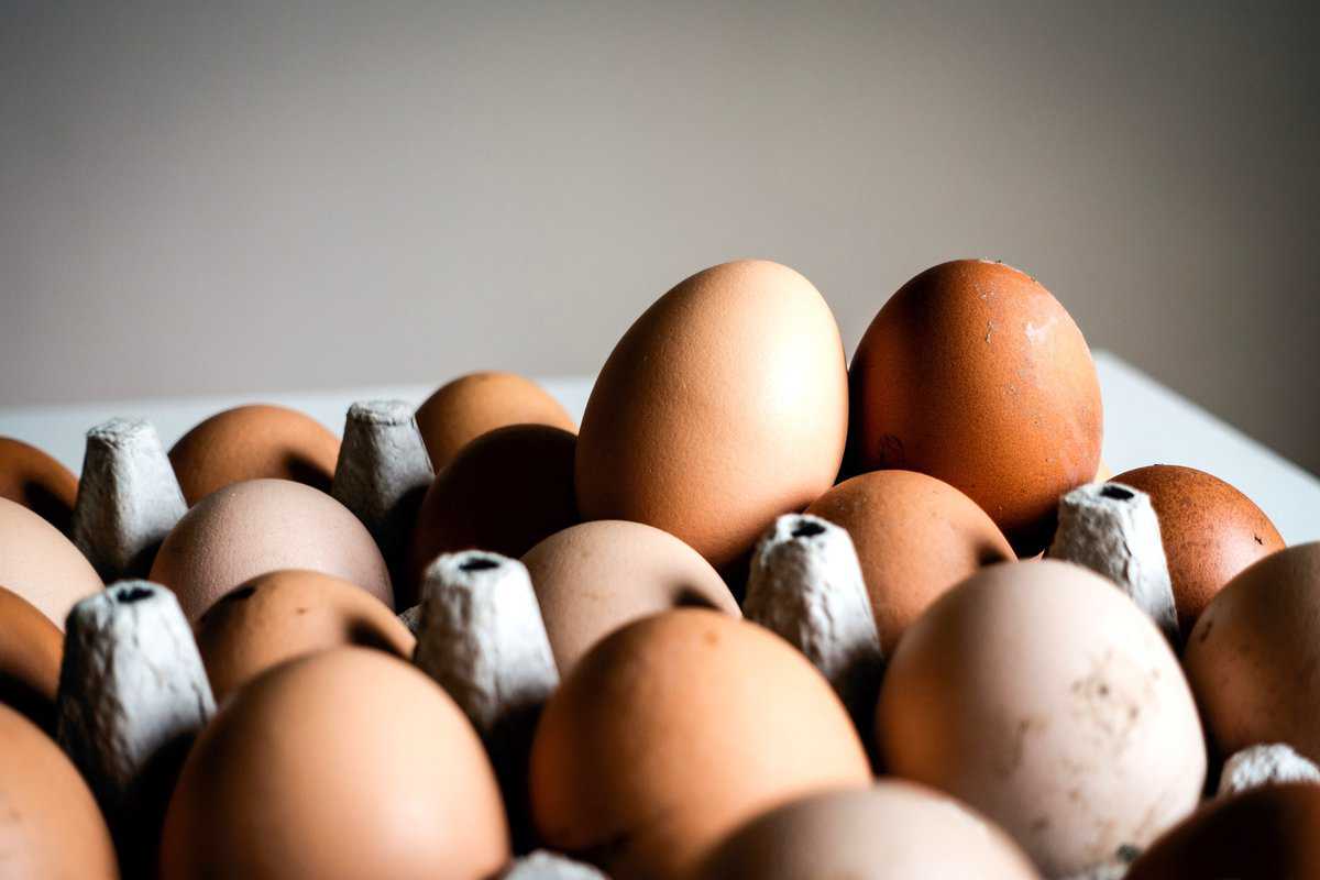 Close up of eggs in a carton.