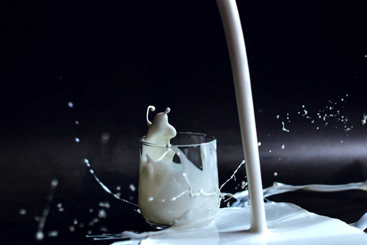 Glass of milk while someone is pouring milk missing the glass so the milk is splashing