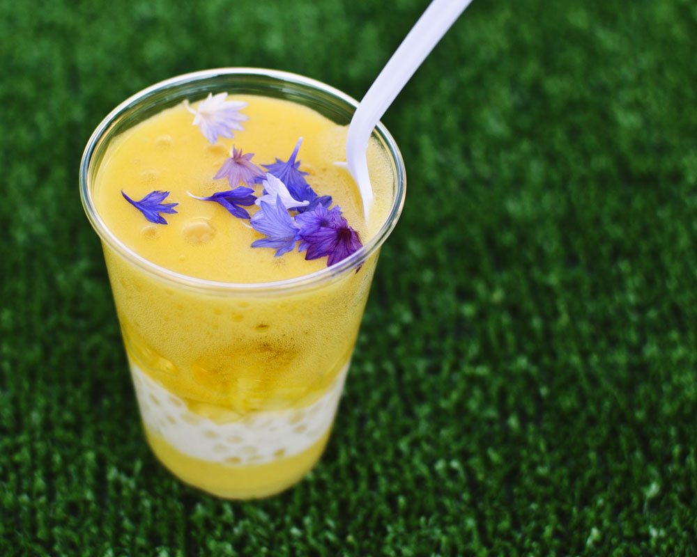 Bosk_CoconutTapioca.jpg