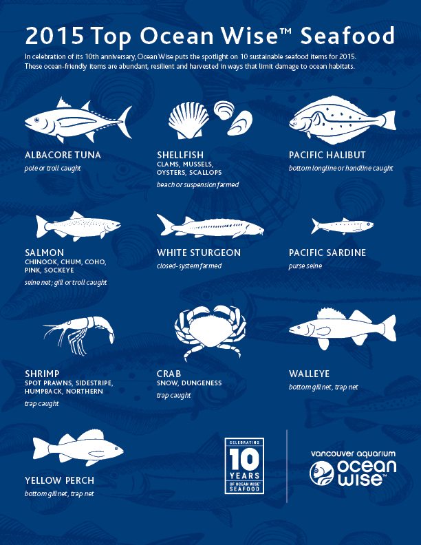 OceanWise_Top10Seafood_150310-screen.jpg